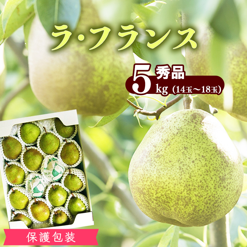 【保護包装品】山形産 洋梨「ラ・フランス」5kg(14玉 - 18玉) 秀品 サイズおまかせ 【2025年10月末頃から12月上旬頃】/ ラフランス 果物 フルーツ 季節 秋 東北 山形県産 2025年産 令和7年産 5キロ 017-B-JA006