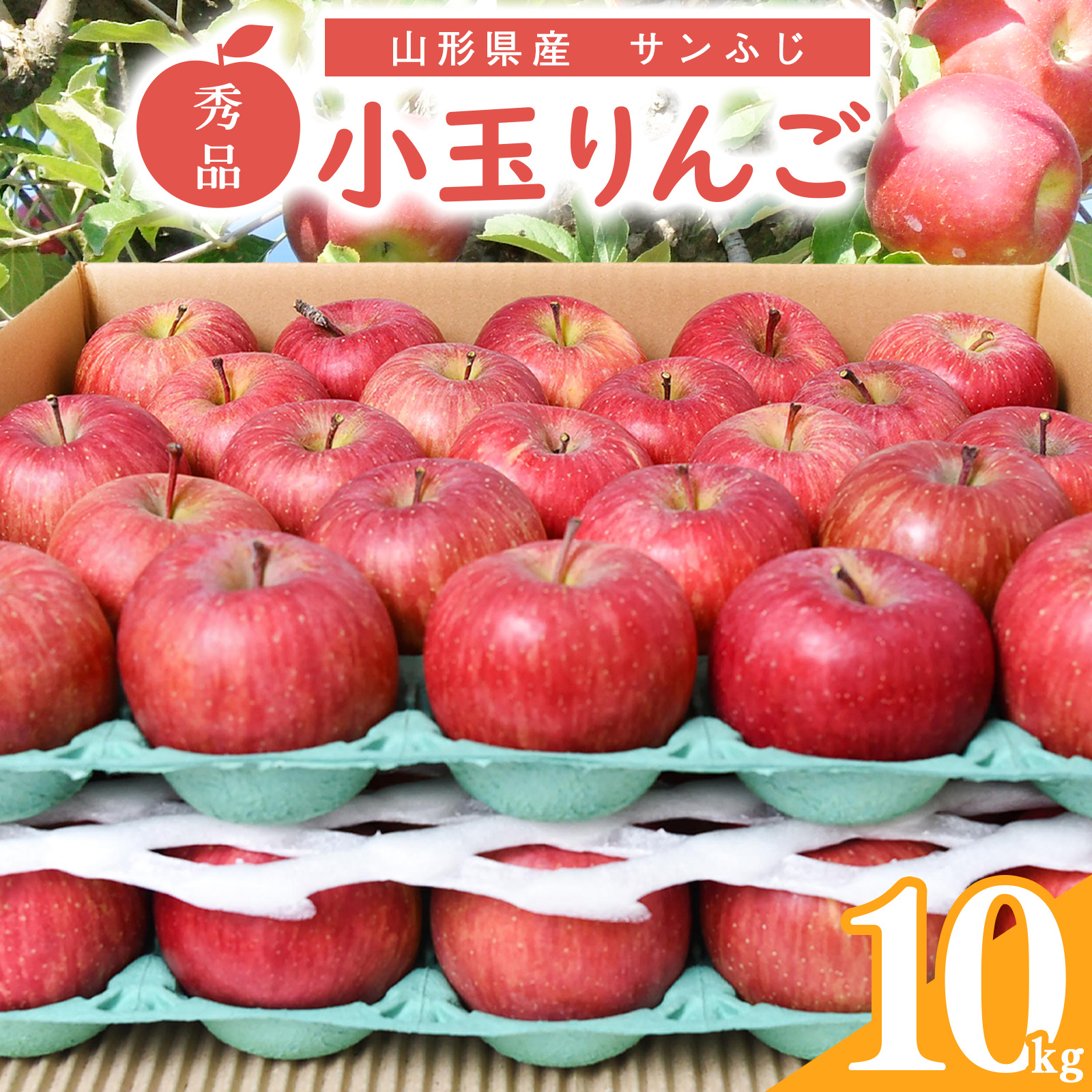 【先行予約】秀品 小玉りんご「サンふじ」 10kg (40 - 50玉入)【2026年1月上旬頃~下旬頃発送予定】 018-B-MM035