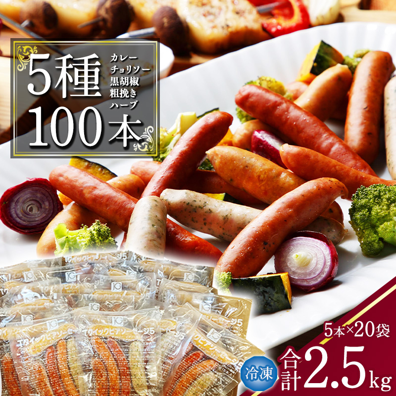 【本格バルの味】５種のウインナー 合計2.5kg（125g×小分け20パック：計100本） ／ お取り寄せ 小分け 個包装 便利 冷凍 保存 備蓄 あらびき ソーセージ 食べ比べ 大容量 業務用 湯煎 牛 豚 肉 アウトドア バーベキュー 焼肉 おかず おつまみ 弁当 国内製造 東北 山形　021-D-NB003