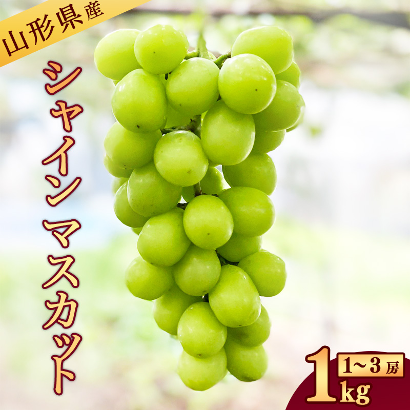 山形県産》 新鮮 シャインマスカット 1kg(1房 - 3房)【2025年9 山形県産》 新鮮 シャインマスカット 1kg(1房 - 3房)【2025年9
