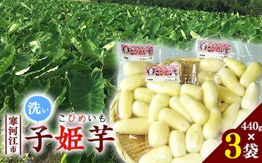 令和7年産 洗い里芋 「子姫芋(こひめいも)」 1.3kg以上 (440g×3袋) 山形県産 2025年産 【2025年9月下旬頃から11月上旬頃配送予定】 013-B-CS002