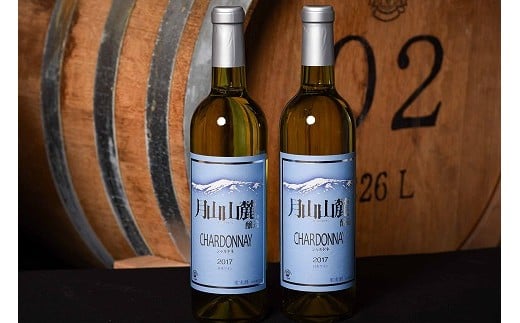 《山形県産ぶどう100%》月山山麓 シャルドネヴィンテージ 白ワイン 辛口 (720ml×2本) 018-E-CK011
