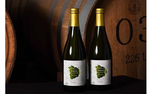 《山形県産ぶどう100%》やまがた シャルドネ スパークリング ワイン 白(750ml×2本) 020-E-CK017