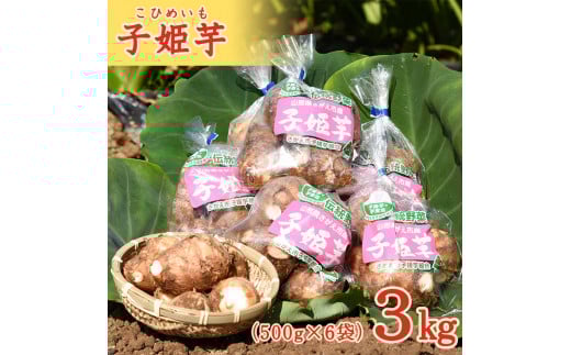 令和7年産 伝統野菜 里芋「子姫芋」3kg(500g×6袋)土付 山形県産 2025年産【2025年10月下旬頃~2026年1月頃配送予定】 012-B-BK004