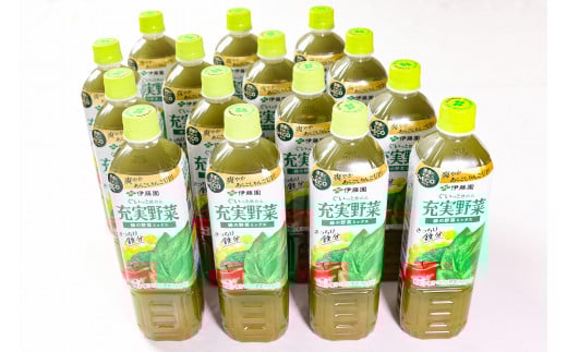 伊藤園 充実野菜 緑の野菜 740g×15本セット（1ケース） ／ 野菜ジュース 飲料 ソフトドリンク ペットボトル PET 1箱 備蓄 常備 まとめ買い 箱買い ケース買い 国内製造  018-G-IT005