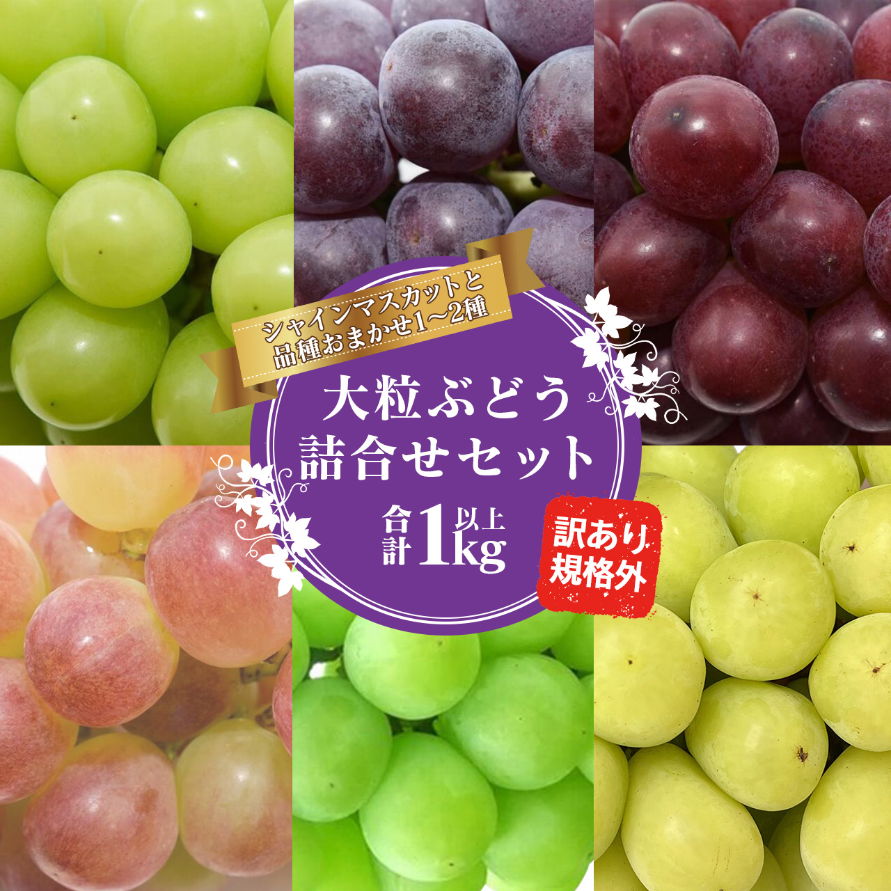 《ご家庭用》シャインマスカットとお任せ1品種 ぶどう 詰合せ セット 計1kg【2025年9月中旬頃から10月下旬頃発送予定】 ／ 2025年産 令和7年産 訳あり 規格外 自宅用 SDGs フードロス 農家直送 生産者直送 山形県産 山形産 産地直送 果物 フルーツ 葡萄 東北 1キロ　013-B-JF020