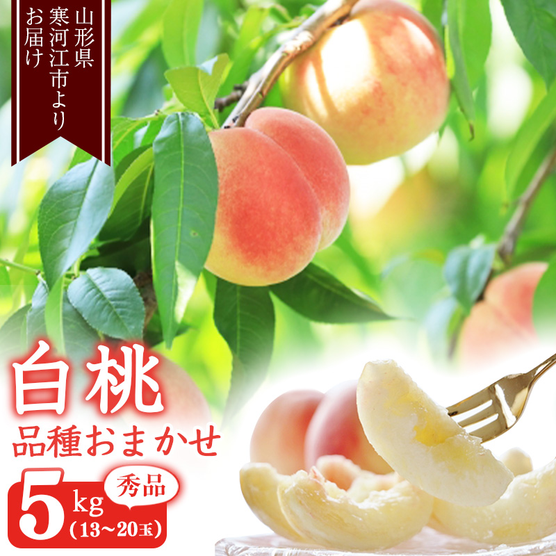 山形の白桃 秀品 5kg（13 - 20玉） 品種おまかせ 秀品 山形県産 2025年産 令和7年産【2025年8月上旬頃から9月下旬頃発送予定】※ 配送不可 沖縄・離島　022-B-MM013