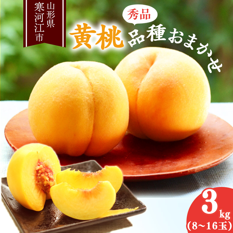 山形の黄桃 秀品 3kg（8 - 16玉） 品種おまかせ 秀品 山形県産 2025年産 令和7年産【2025年8月中旬頃から9月下旬頃発送予定】※ 配送不可 沖縄・離島　015-B-MM018