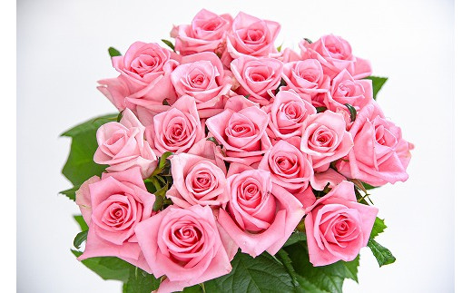 【ピンク系】薔薇の花 20本×長さ60cm (切り花延命剤付属)※ 配送不可 沖縄・離島 018-K-MM034-pink