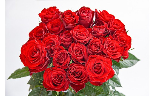 【赤系】薔薇の花 20本×長さ60cm (切り花延命剤付属)※ 配送不可 沖縄・離島 018-K-MM034-red