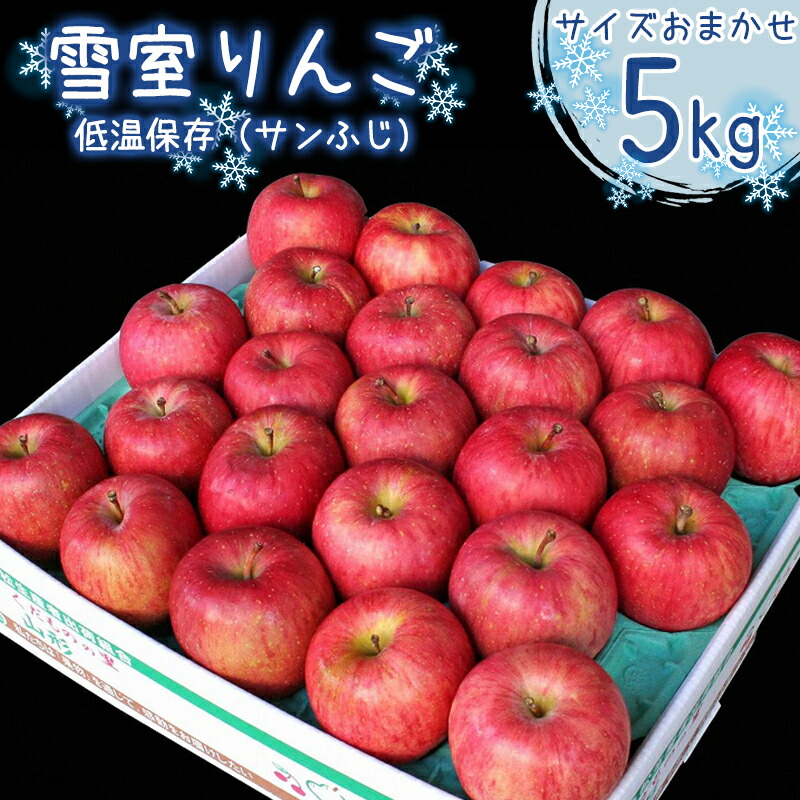 【先行予約】雪室 りんご「サンふじ」 5kg (サイズおまかせ) 山形県産 2025年産 令和7年産【2026年1月下旬頃~2月下旬頃発送予定】※ 配送不可 沖縄・離島 012-B-MM039