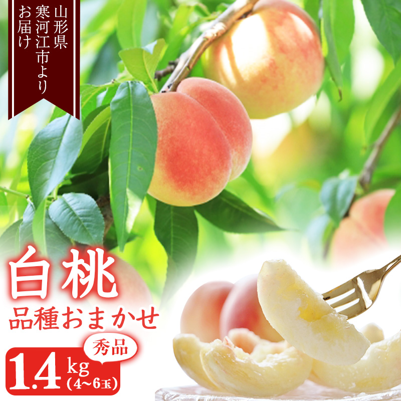 山形の白桃 秀品 1.4kg（4 - 6玉） 品種おまかせ 秀品 山形県産 2025年産 令和7年産【2025年8月上旬頃から9月下旬頃発送予定】※ 配送不可 沖縄・離島　010-B-MM069