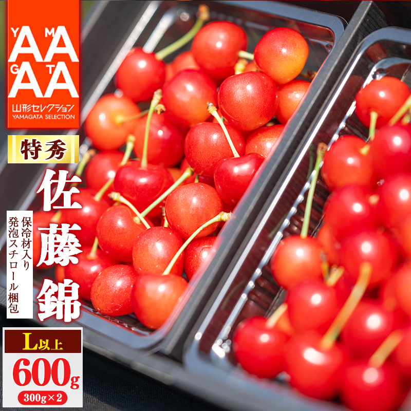 【先行予約】【保冷剤入り発泡スチロール梱包】 令和8年産 特秀品 さくらんぼ「 佐藤錦 」600g (300g×2) L以上 2026年産 山形県産 【2026年6月上旬頃~下旬頃発送予定】 ※配送不可 沖縄・離島 028-A-AF012