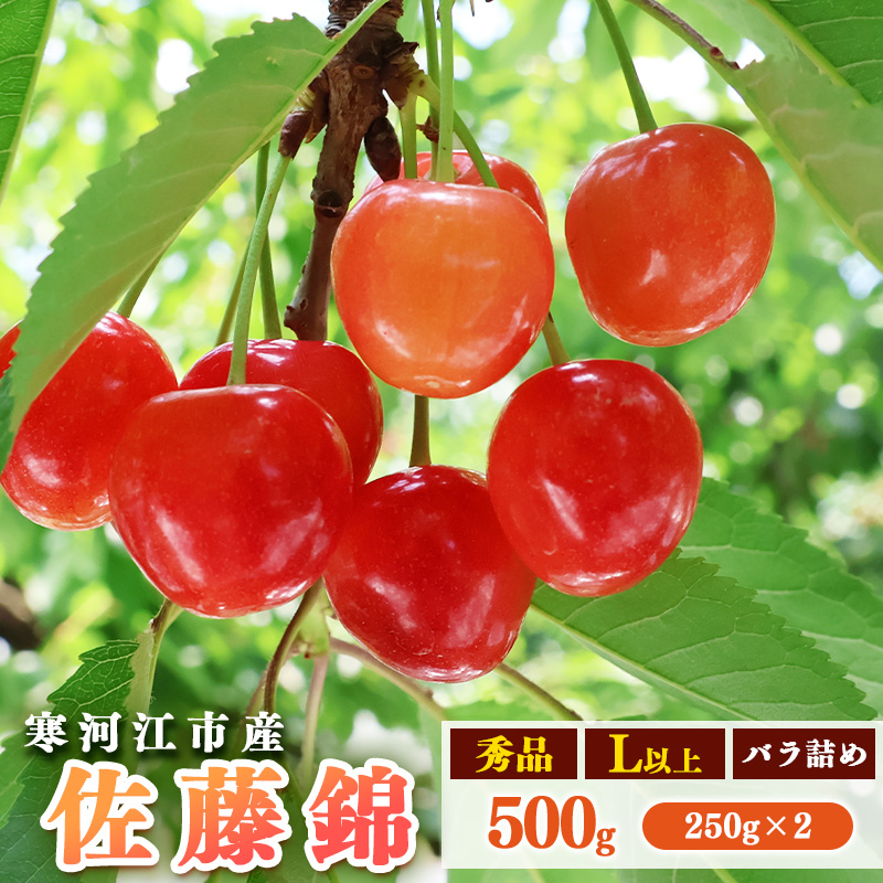 令和8年産 さくらんぼ「 佐藤錦 」500g (250g×2パック) 秀品 Lサイズ以上 2026年産 山形県産 【2026年6月上旬頃~下旬頃発送予定】※配送不可 沖縄・離島 012-A-AF020