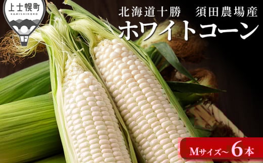 北海道産ホワイトコーン 計6本 上士幌町須田農場 白いスイートコーン とうもろこし 野菜 冷蔵便 ◆2025年08月配送予定 [010-V61] ※オンライン申請対応