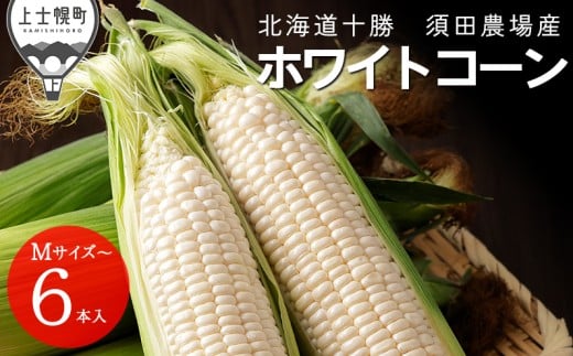 2026年分 先行予約 北海道産 ホワイトコーン 計6本 北海道 上士幌町 須田農場 野菜 白い スイートコーン とうもろこし トウモロコシ 産地直送 冷蔵便 ◆2026年08月配送予定 ［010-V61］