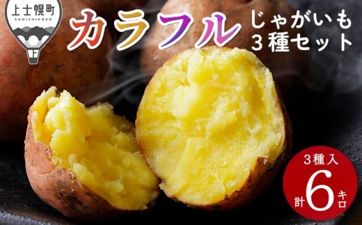 北海道産 カラフル じゃがいも 3種セット 計6kg(2kg×3種) 北海道 上士幌町 加藤農場 野菜 ジャガイモ 馬鈴薯 産地直送 ◆2025年12月配送予定 [009-V70] ※オンライン申請対応