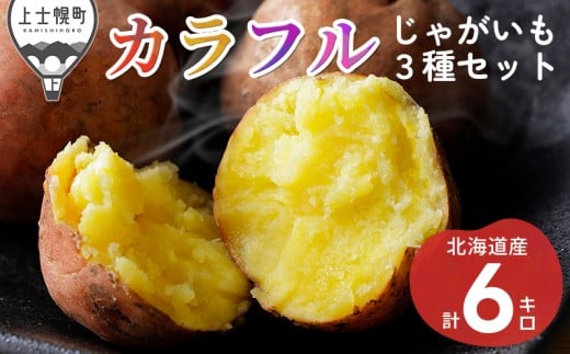 北海道産 カラフル じゃがいも 3種セット 計6kg(2kg×3種) 上士幌町加藤農場 馬鈴薯 芋 イモ 野菜 詰め合わせ おすそ分け用紙袋2枚付き ◆2025年12月配送予定 [009-V71] ※オンライン申請対応