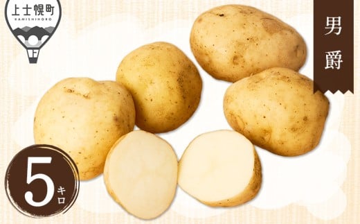 北海道産 新じゃが 男爵 5kg 北海道 上士幌町 須田農場 野菜 じゃがいも ジャガイモ 馬鈴薯 産地直送 ［008-V70］