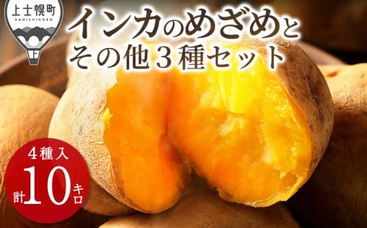 北海道産 インカのめざめ その他3種のじゃがいもセット 計10kg 北海道 上士幌町 加藤農場 野菜 インカの目覚め ジャガイモ 馬鈴薯 詰め合わせ 産地直送 ◆2025年11月配送予定 ［012-V60］