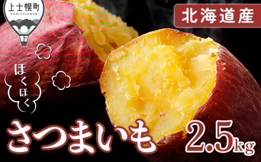 北海道産さつまいも 計2.5kg 上士幌町須田農場 ◆2025年11月下旬発送開始予定 [010-V62] ※オンライン申請対応