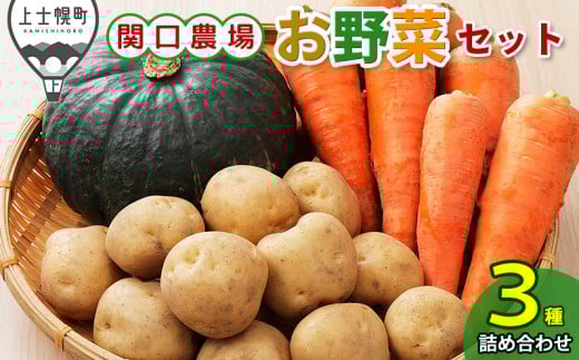 北海道産 お野菜セット じゃがいも にんじん カボチャ 北海道 上士幌町 関口農場 野菜 詰め合わせ 産地直送 ◆2025年10月配送予定 [010-V63] ※オンライン申請対応
