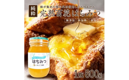 946.天然はちみつ 百花蜜 600g×1本  蜂蜜 ハチミツ ハチ蜜 鳥取県産◇日本全国配送可能