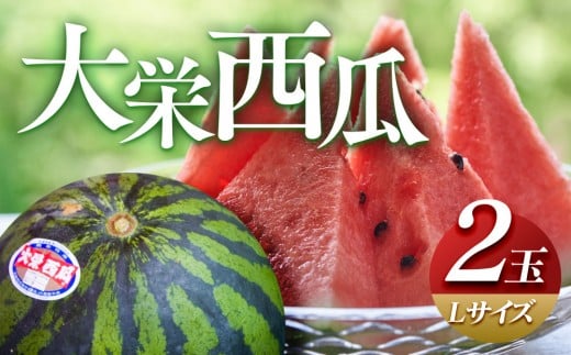 \2026年産先行予約/大栄西瓜 L 2玉 ※2026年6月中旬~7月中旬頃に順次発送予定 | 西瓜 スイカ 大栄すいか 果物 フルーツ くだもの 鳥取県 北栄町 おすすめ 人気 送料無料