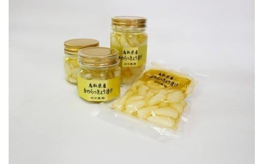 ラッキョウ漬け ビン入り 130g×2本&220g×1本 袋入り 220g×1袋 【らっきょう らっきょ ご飯 カレー セット商品 鳥取県産 北栄町 おすすめ 人気 新鮮 パリ パリッ】