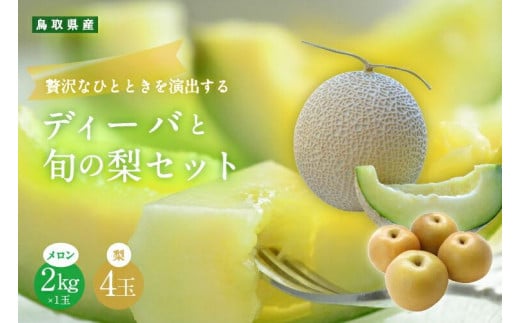 924.【ふるさと納税】【青肉系メロン】ディーバ(メロン)と旬の梨セット※離島への配送不可(北海道、沖縄本島は配送可能)