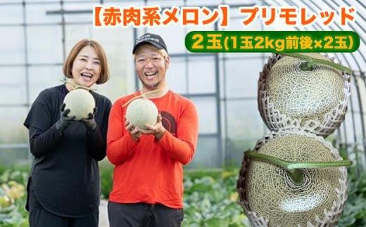 808.【赤肉系メロン】プリモレッド×2玉(1玉2kg前後×2玉)※離島への配送不可