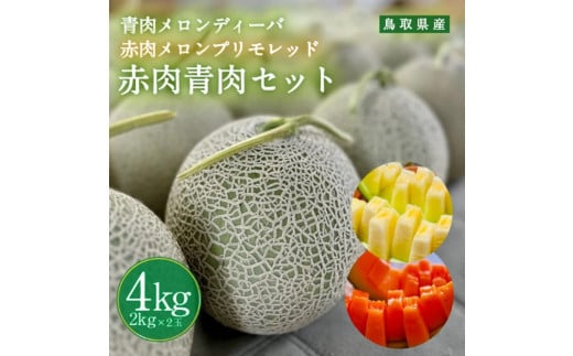 956.【ふるさと納税】青肉メロンディーバと赤肉メロンプリモレッドのセット ※日本全国配送可能  2025年10月上旬頃~11月上旬頃に順次発送予定