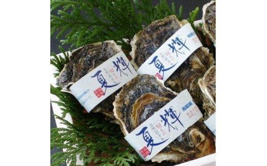 1014.【2026年6月上旬以降発送 先行予約】鳥取県産 天然岩ガキ『夏輝』 特大サイズ3個(500g以上×3個) 牡蠣 カキ※着日指定不可※2026年6月上旬~8月下旬頃に順次発送予定【牡蠣 かき 岩ガキ いわがき 甲殻類 新鮮 鳥取 北栄町 おすすめ 人気】