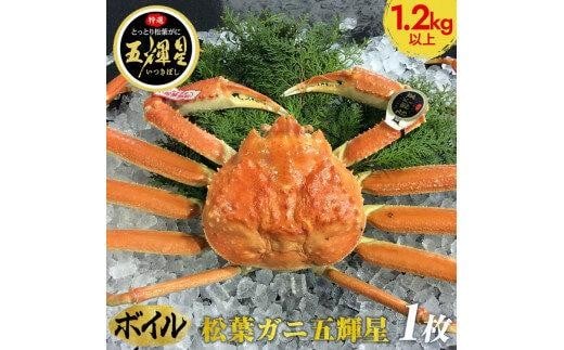 【ボイル】鳥取ブランド 松葉ガニ『五輝星』※2025年11月上旬~2026年3月下旬頃に順次発送予定※着日指定不可