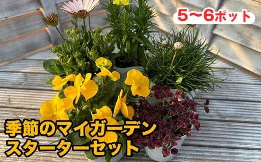809.季節のマイガーデン・スターターセット ※離島への配送不可