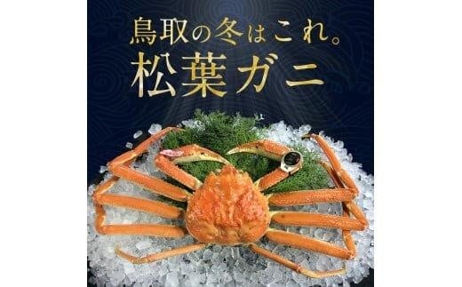 【早期受付】【活】訳あり 松葉ガニおまかせ3kg(5~8枚)《かに カニ 蟹 ズワイガニ》※着日指定不可※2025年11月上旬頃から順次発送予定