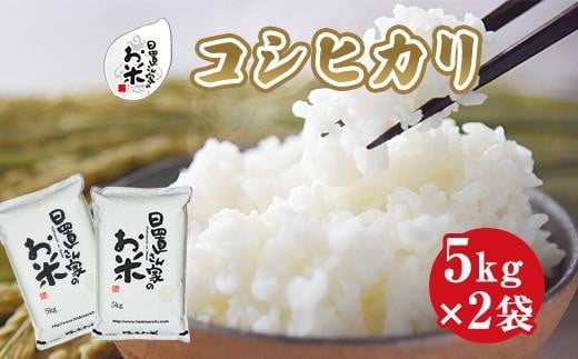 147.日置さん家のお米「コシヒカリ」5kg×2袋【精米・2025年産】