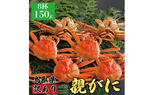 1069.【2025年11月発送】鳥取県産 特撰 親がに 姿【セコガニ】（茹）【訳あり】150g 8杯