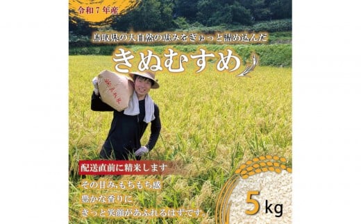 1082.令和7年産 きぬむすめ精米 5kg