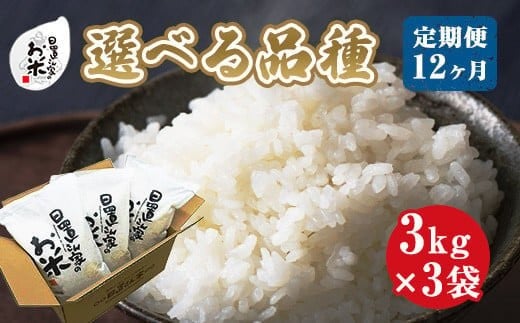【品種が選べる】日置さん家のお米 12ヶ月定期便 3kg×3袋×12回【新米 米 こめ 定期便 3kg ご飯 ごはん おにぎり 鳥取県 北栄町 おすすめ 人気 品種 コシヒカリ きぬむすめ ひとめぼれ ミルキークイーン】