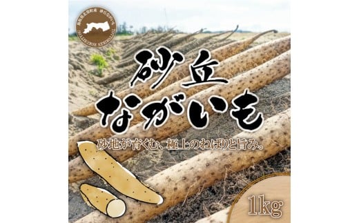 1112.砂丘ながいも1kg