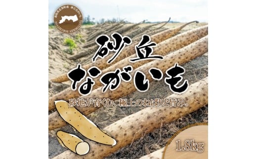 1113.砂丘ながいも1.8kg