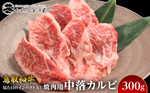 57.鳥取和牛 焼肉用 中落カルビ 300g【国産 鳥取和牛 和牛 焼肉 肉 にく 鳥取県 北栄町 おすすめ 人気】