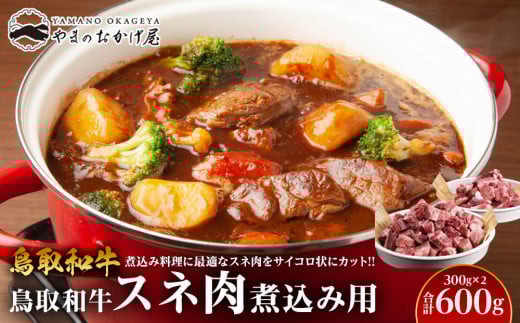 70.鳥取和牛 スネ肉煮込み用 300g×2パック【国産 鳥取和牛 和牛 焼肉 肉 にく 鳥取県 北栄町 おすすめ 人気】