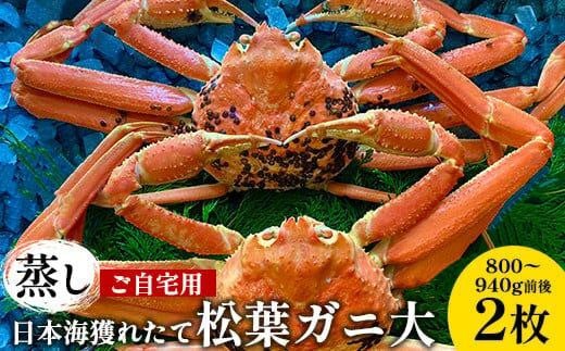 115.【先行予約】【蒸し】訳あり ご自宅用 日本海獲れたて松葉ガニ 大 800～940g前後 ２枚 ※2025年11月上旬～2026年3月上旬頃に順次発送予定【家庭用 松葉ガニ 松葉蟹 蟹 かに 甲殻類 ズワイガニ 鳥取県 北栄町 おすすめ 人気 送料無料】