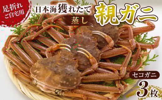 124.【先行予約】【蒸し】訳あり 足折れ ご自宅用 日本海獲れたて親ガニ(セコガニ)3枚 ※2025年11月上旬~12月下旬頃に順次発送予定【家庭用 松葉ガニ 松葉蟹 蟹 かに 甲殻類 ズワイガニ 鳥取県 北栄町 おすすめ 人気 送料無料】