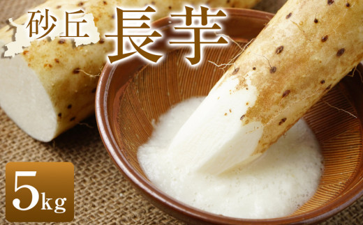 322.【先行受注】砂丘長芋 5kg ※2025年11月上旬~2026年3月下旬頃に順次発送予定【野菜 やさい 根菜 とろろ 長芋 芋 いも 鳥取県 北栄町 おすすめ 人気 送料無料】