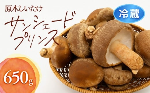 352.【冷蔵】原木しいたけ サンシェードプリンス ※北海道・沖縄・離島 以外への配送 ※2025年12月中旬~2026年2月上旬頃に順次発送予定|しいたけ 椎茸 野菜 きのこ 新鮮 肉厚 旨味 北栄町 鳥取県 おすすめ 人気