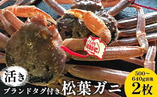 106.【先行予約】【活き】ブランドタグ付き松葉ガニ 500~640g前後 2枚 ※2025年11月上旬~2026年3月上旬頃に順次発送予定【松葉ガニ 松葉蟹 蟹 かに 甲殻類 ズワイガニ 鳥取県 北栄町 おすすめ 人気 送料無料】