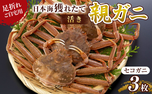121.【先行予約】【活き】訳あり 足折れ ご自宅用 日本海獲れたて親ガニ(セコガニ)3枚 ※2025年11月上旬~12月下旬頃に順次発送予定【家庭用 松葉ガニ 松葉蟹 蟹 かに 甲殻類 ズワイガニ 鳥取県 北栄町 おすすめ 人気 送料無料】
